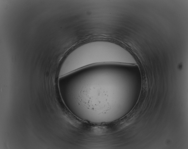 X0000095680508200801081106