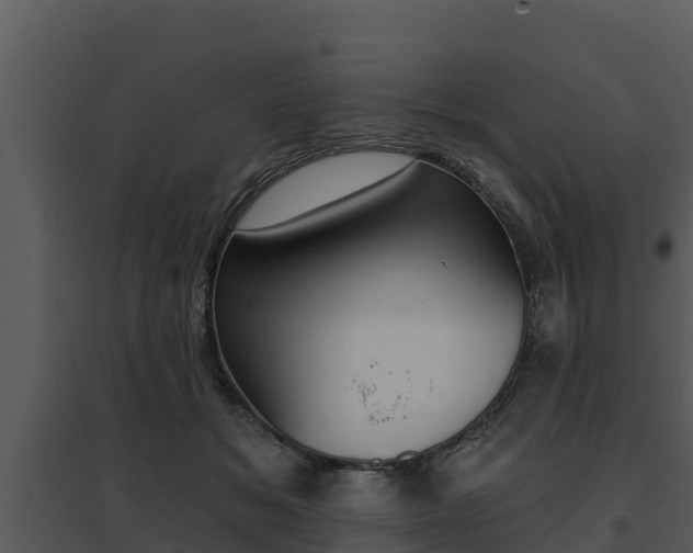 X0000095680509200801081106