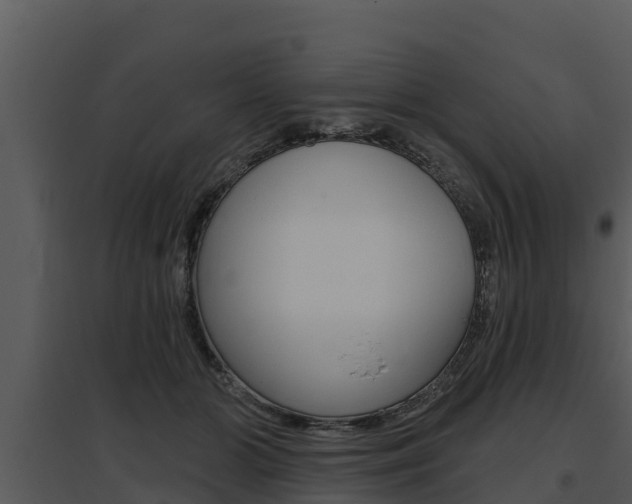 X0000095680510200801081106