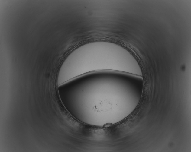 X0000095680513200801081106