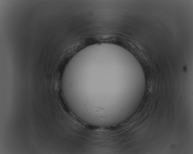 X0000095680515200801081106