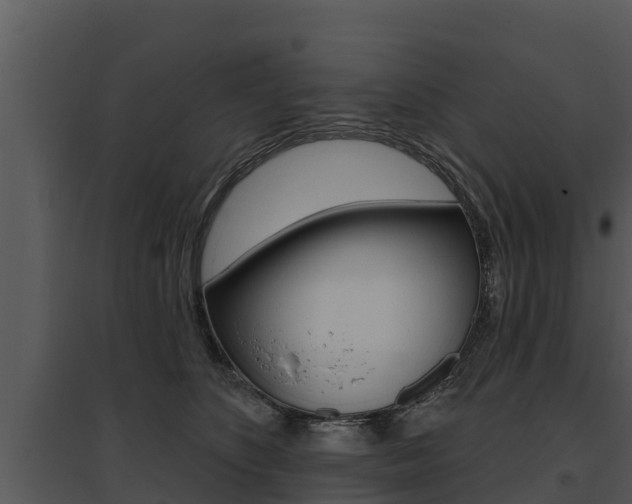 X0000095680516200801081106