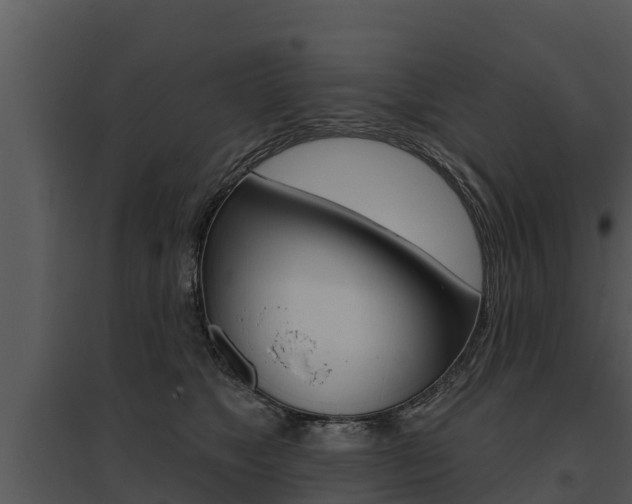 X0000095680517200801081106