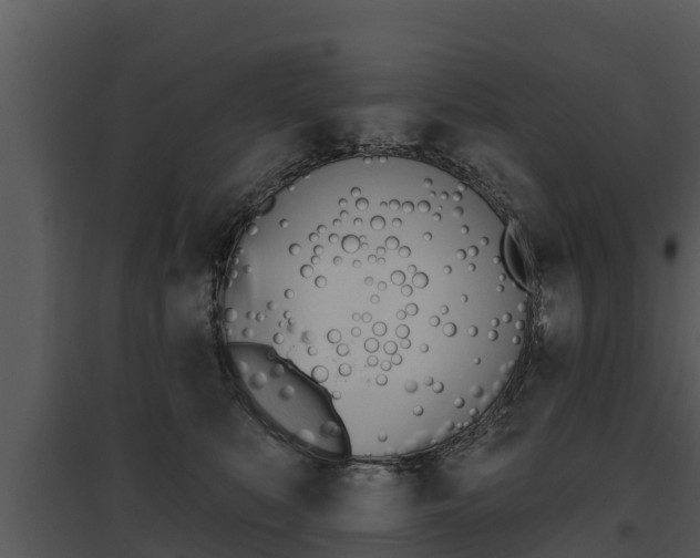 X0000095680519200801081106