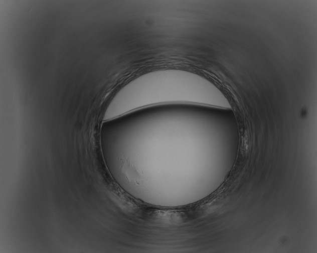 X0000095680520200801081106