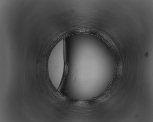 X0000095680521200801081106