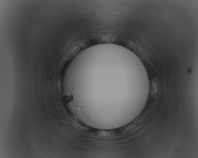 X0000095680522200801081106