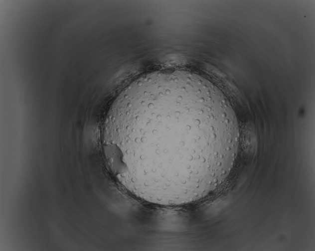 X0000095680523200801081106