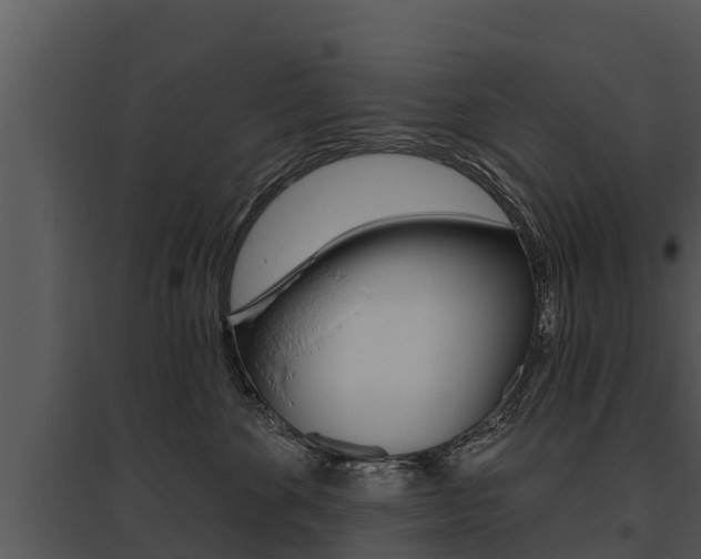 X0000095680524200801081106
