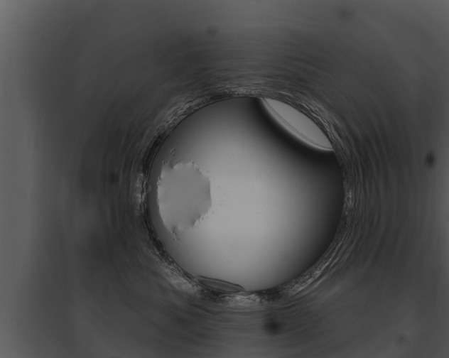 X0000095680525200801081106