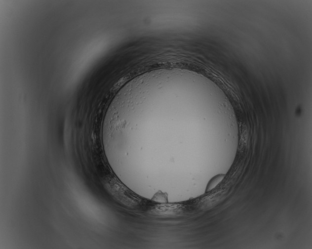 X0000095680526200801081106