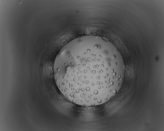 X0000095680527200801081106
