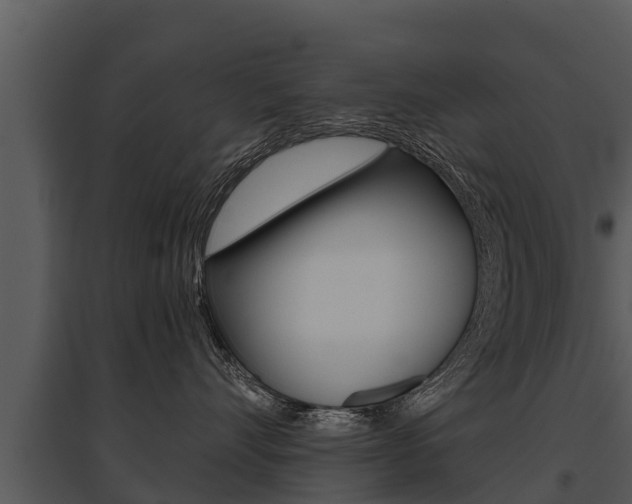 X0000095680528200801081106