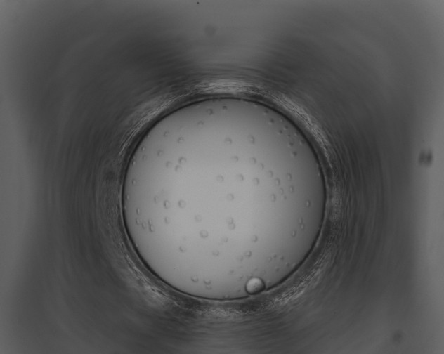 X0000095680529200801081105