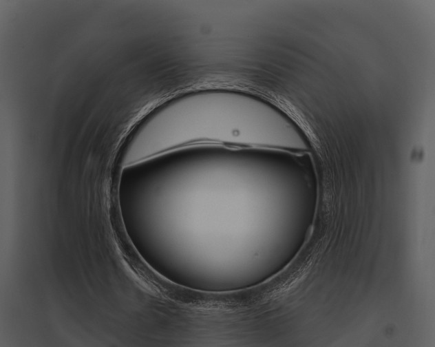X0000095680530200801081105