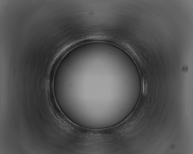 X0000095680531200801081105