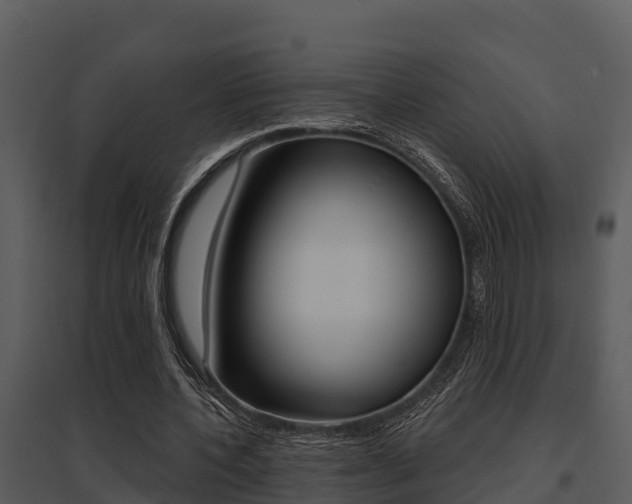 X0000095680532200801081105