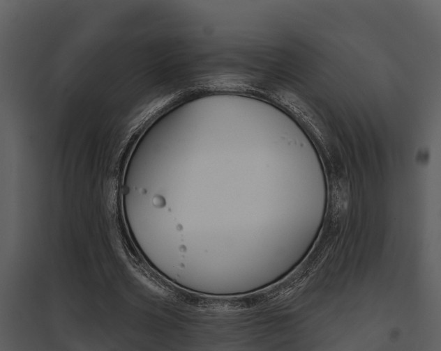 X0000095680533200801081105