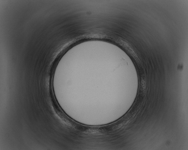 X0000095680534200801081105