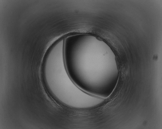 X0000095680536200801081105
