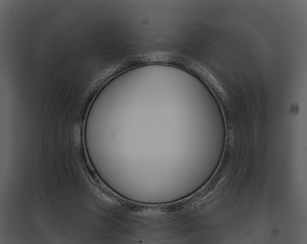 X0000095680537200801081105
