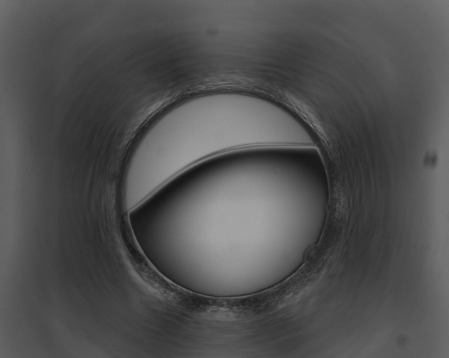 X0000095680538200801081105