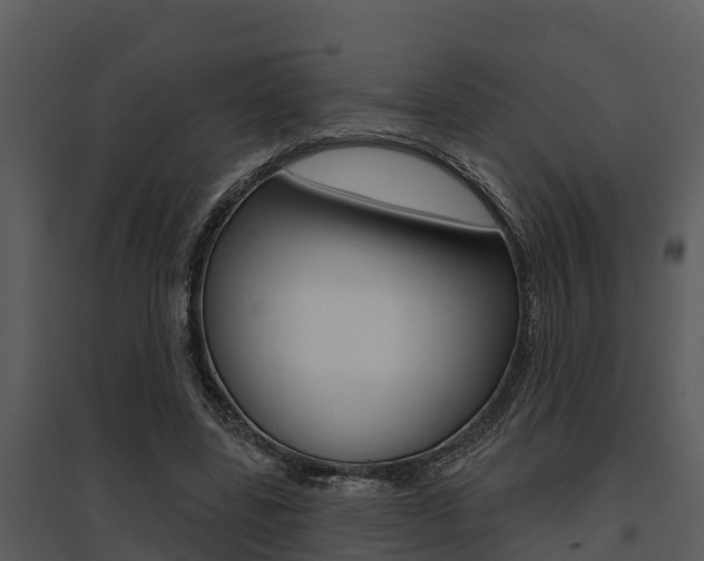 X0000095680539200801081105
