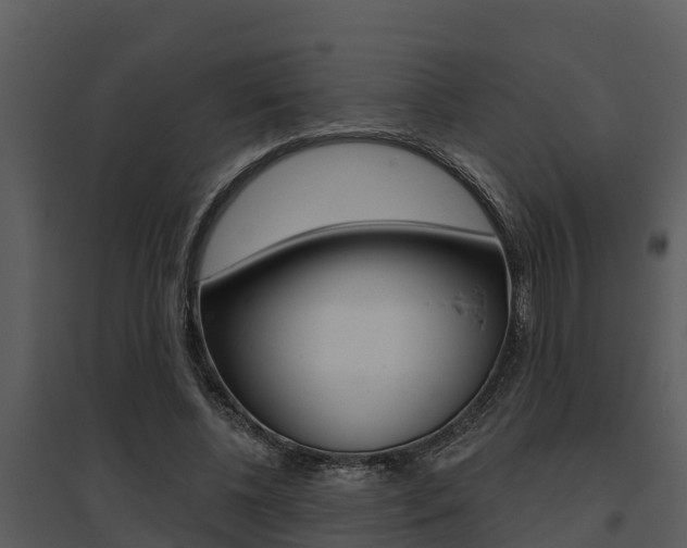 X0000095680540200801081105