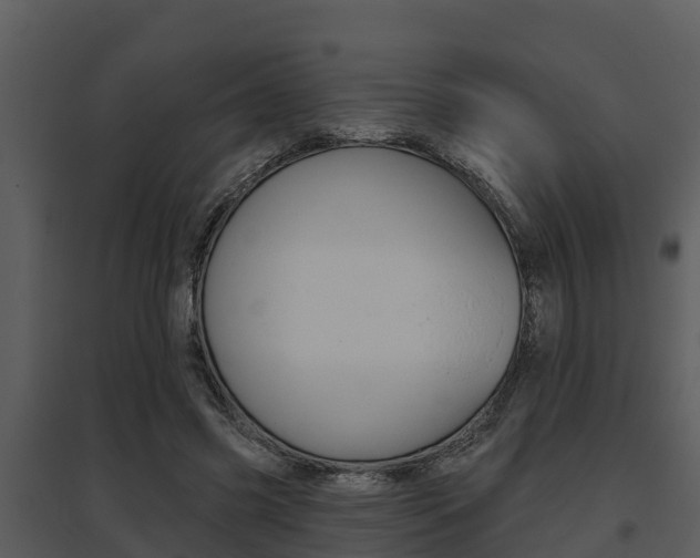X0000095680541200801081105