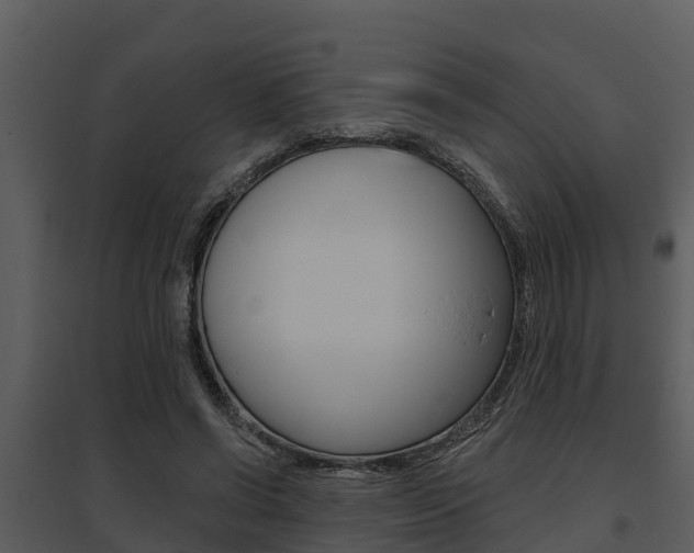 X0000095680542200801081105