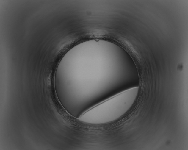 X0000095680543200801081105