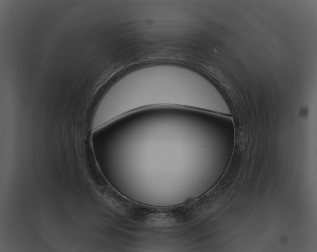 X0000095680544200801081105