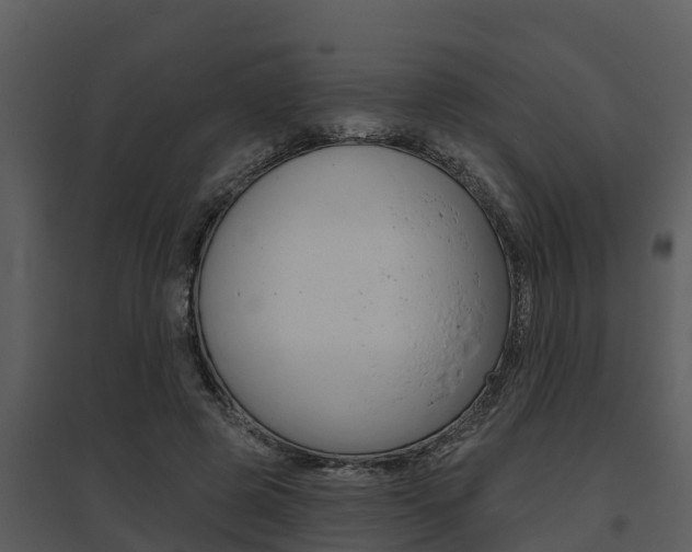 X0000095680545200801081105
