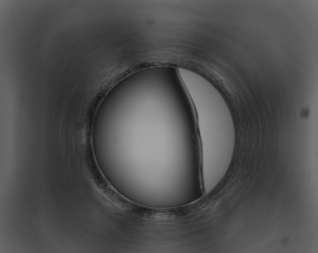 X0000095680546200801081105