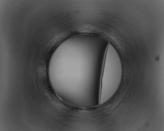 X0000095680547200801081105