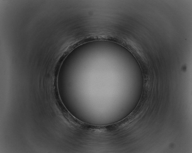 X0000095680548200801081105