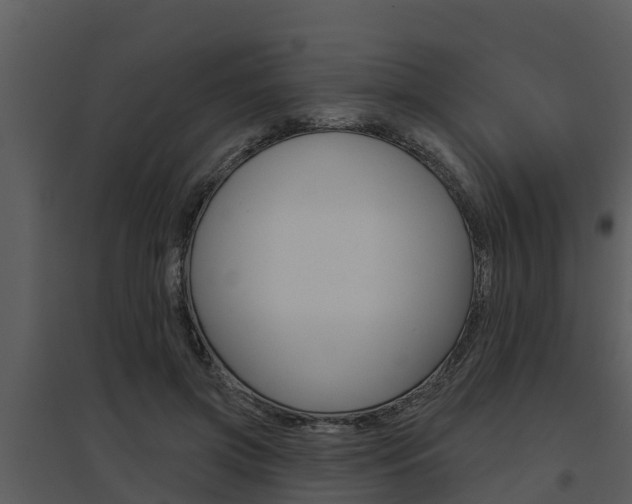 X0000095680549200801081105
