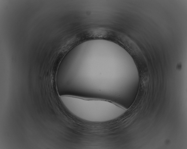 X0000095680551200801081105