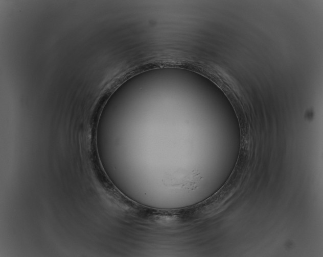 X0000095680552200801081105