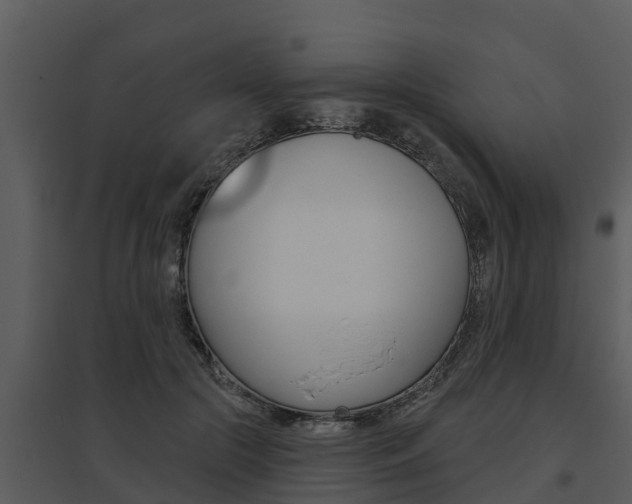 X0000095680553200801081105