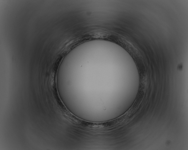 X0000095680554200801081105