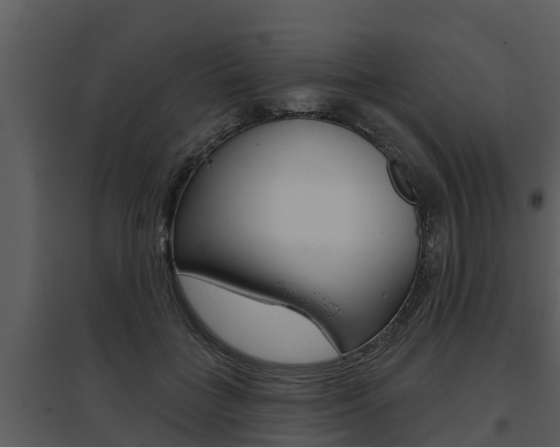 X0000095680555200801081105
