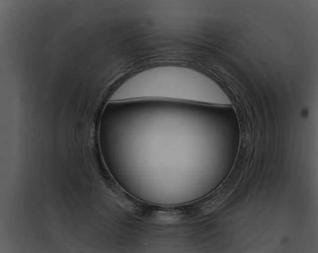 X0000095680556200801081105