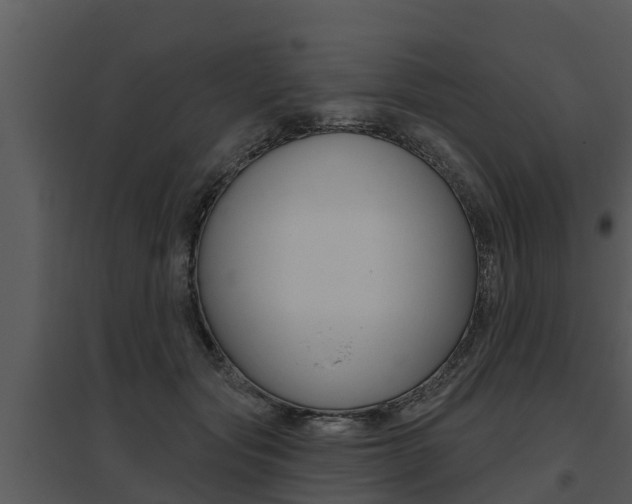 X0000095680557200801081105