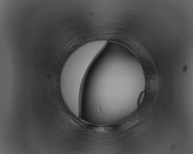 X0000095680558200801081105