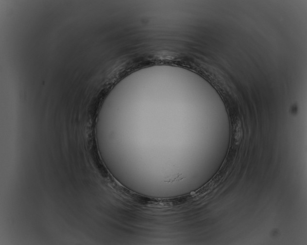 X0000095680559200801081105