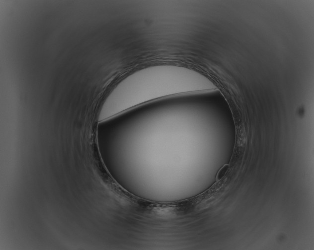 X0000095680560200801081105