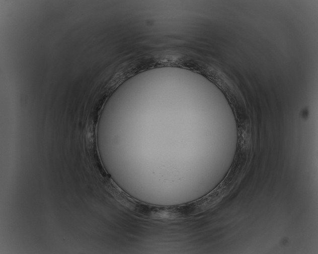 X0000095680561200801081105