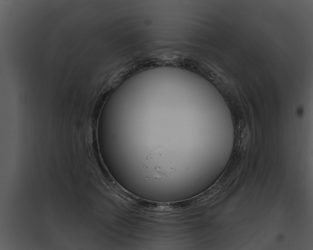 X0000095680562200801081105