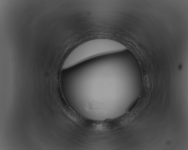 X0000095680564200801081105